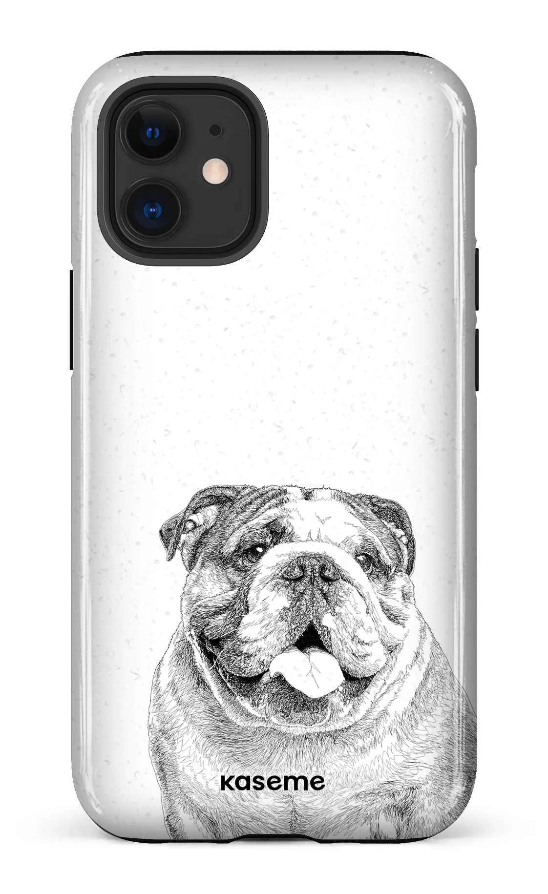 English Bulldog