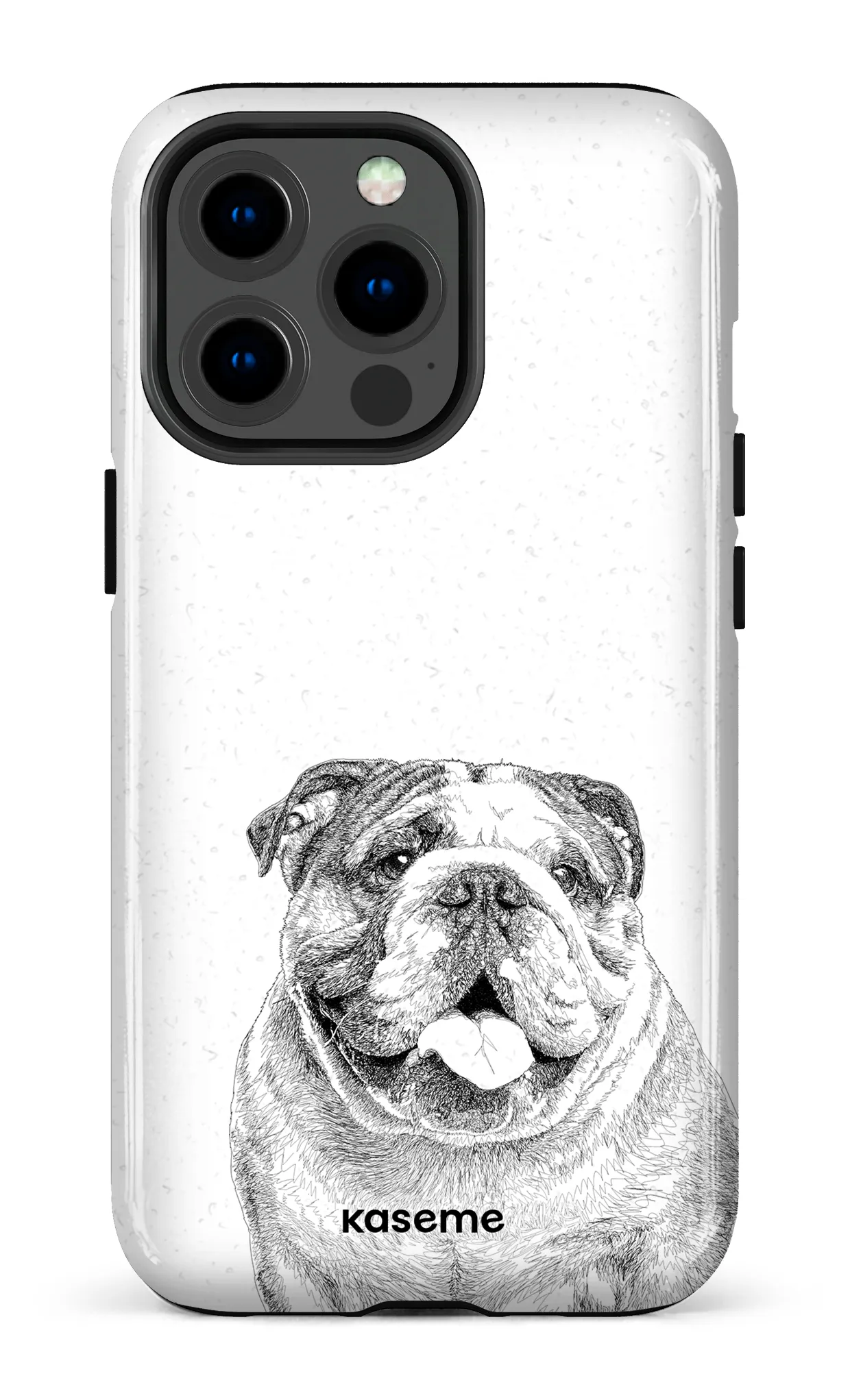 English Bulldog