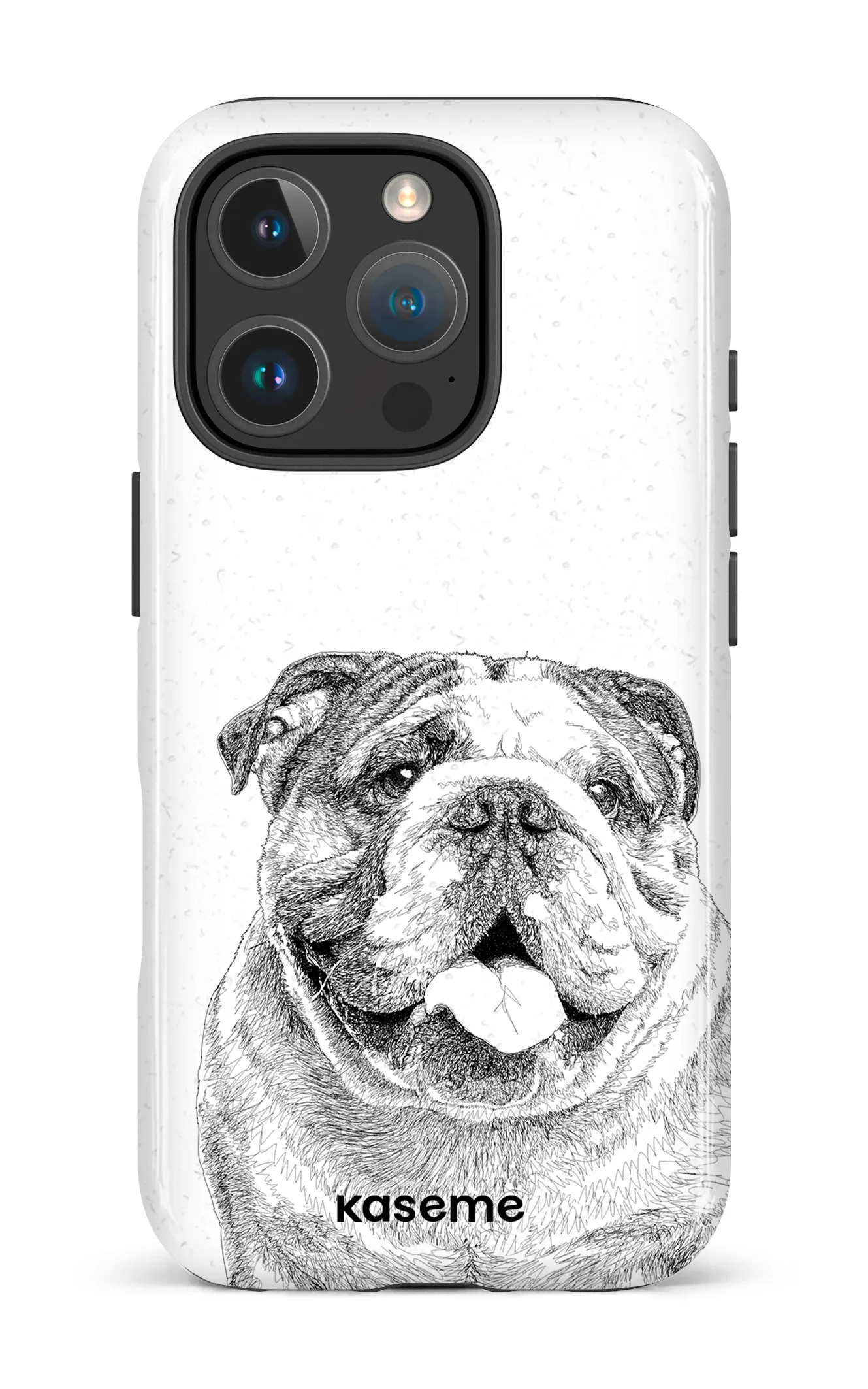 English Bulldog
