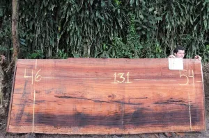 Espavel 131x50x3 Slab (J17805)