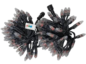 EZ RGB xConnect Pixels-12v 100ct