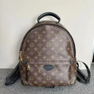 Louis Vuitton Monogram Palm Springs Backpack Brown Medium