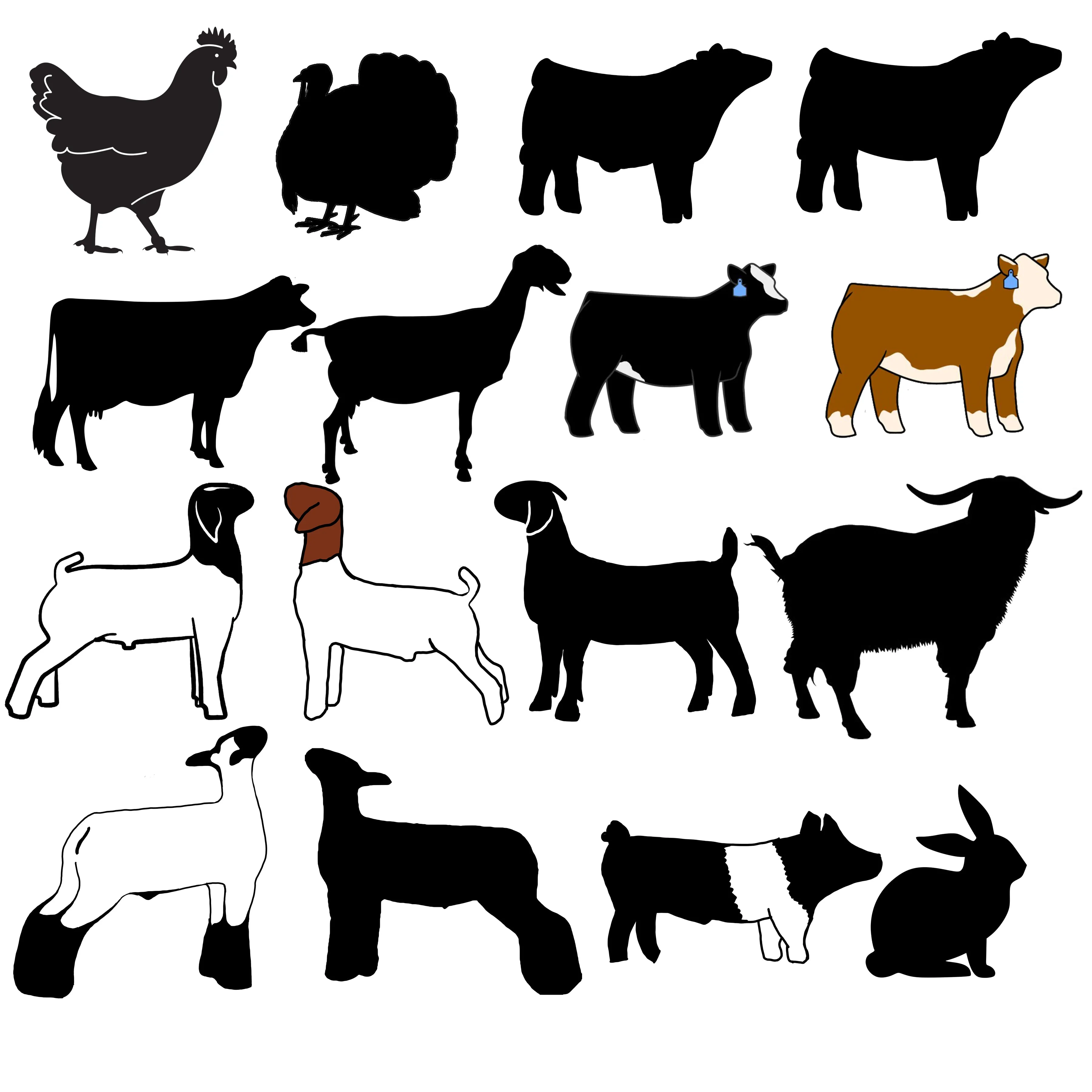 MagSafe iPhone Tough Phone Case - iPhone Cow Phone Cases - Livestock Show Market Heifer