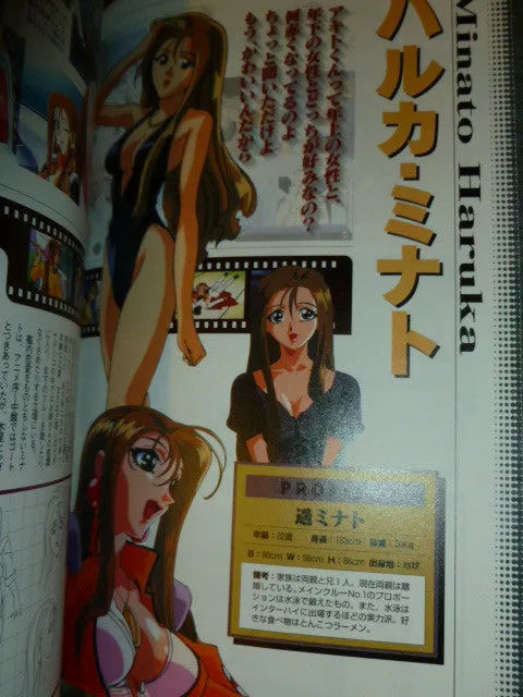 Nadesico Game Book Anime Art Guide
