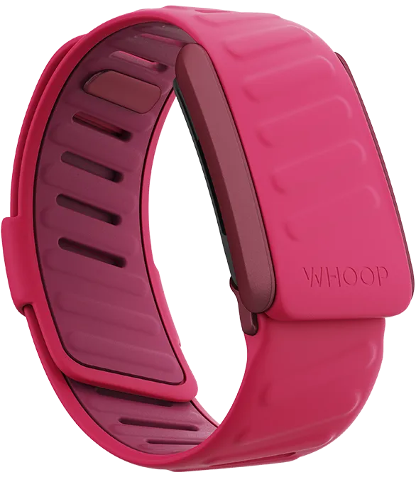 Pace SportFlex Band