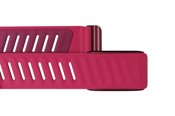 Pace SportFlex Band