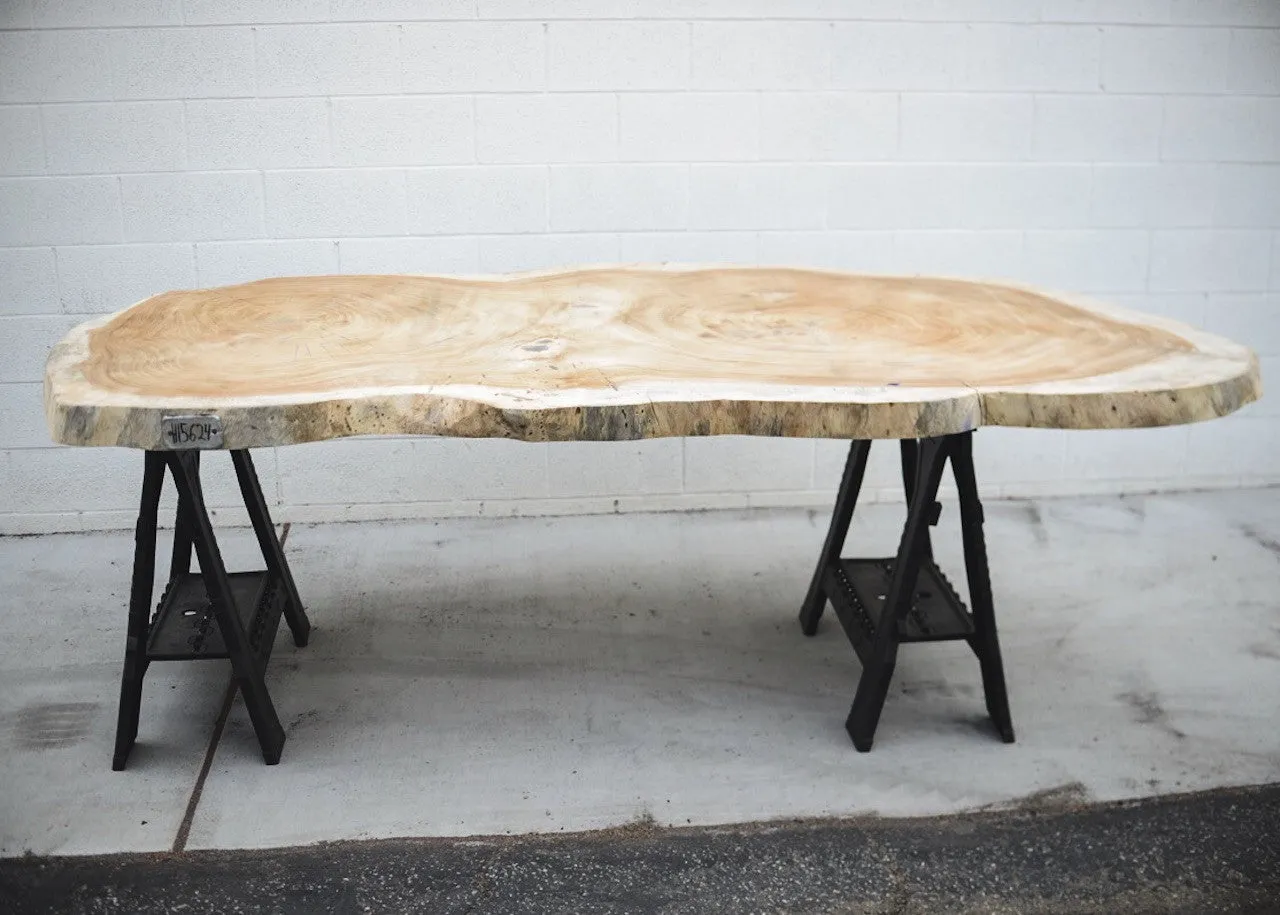Parota/Guanacaste 101x48x3 Cross Cut Slab (H15624)