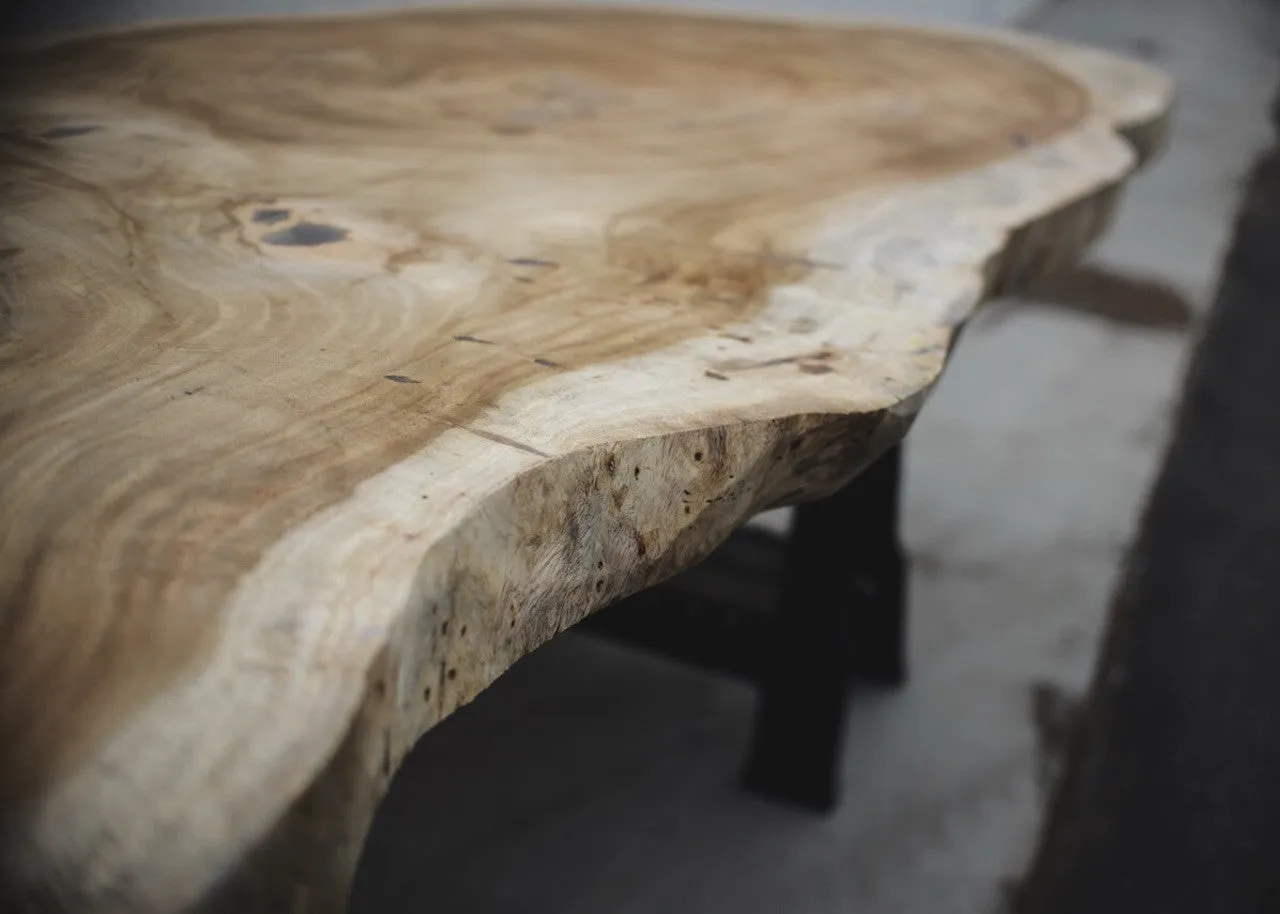 Parota/Guanacaste 101x48x3 Cross Cut Slab (H15624)