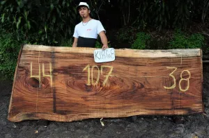 Parota/Guanacaste 107x41x2 Slab (K18068)