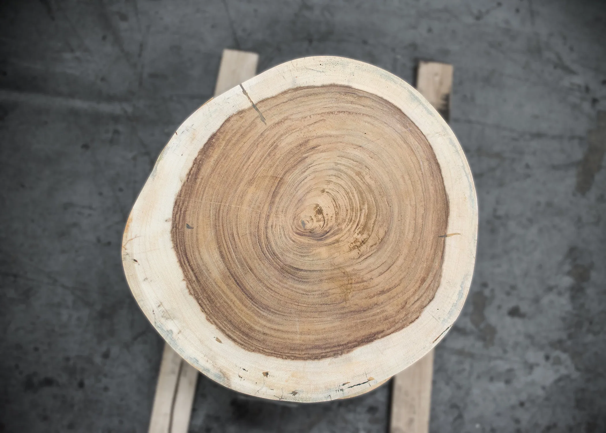 Parota/Guanacaste 24x21x3 Cross Cut Slab (H16623)