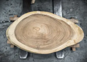 Parota/Guanacaste 41x19x3 Cross Cut Slab (H16563)