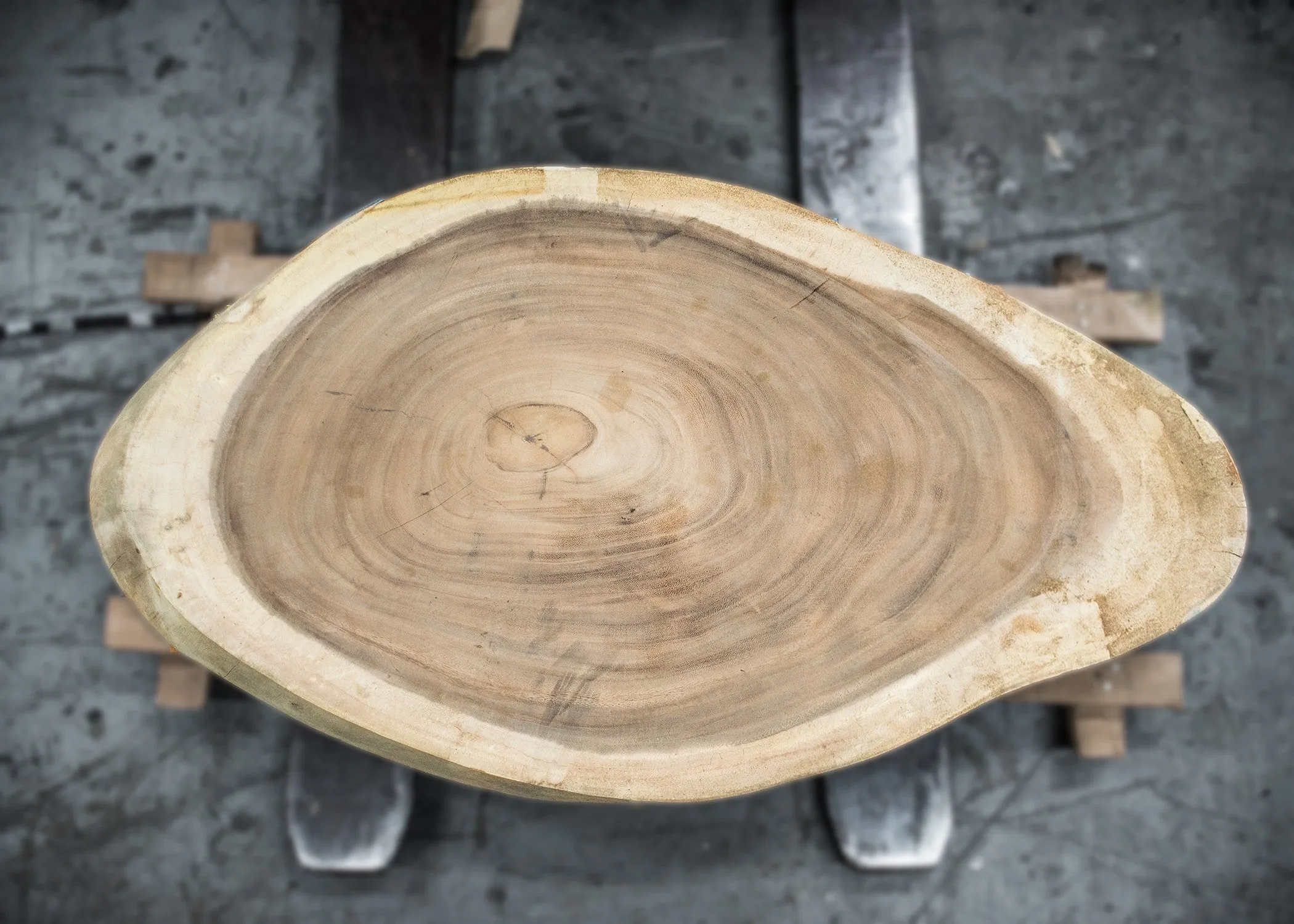 Parota/Guanacaste 41x19x3 Cross Cut Slab (H16563)