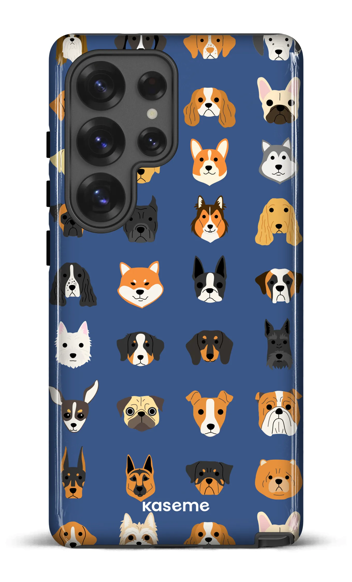 Pup blue