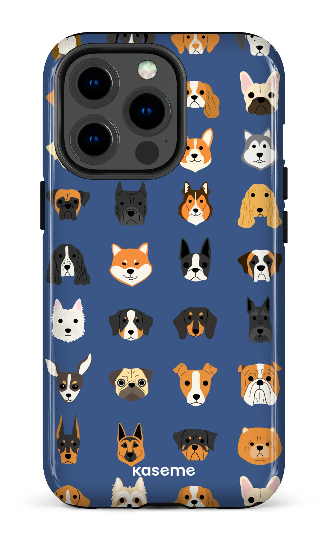 Pup blue