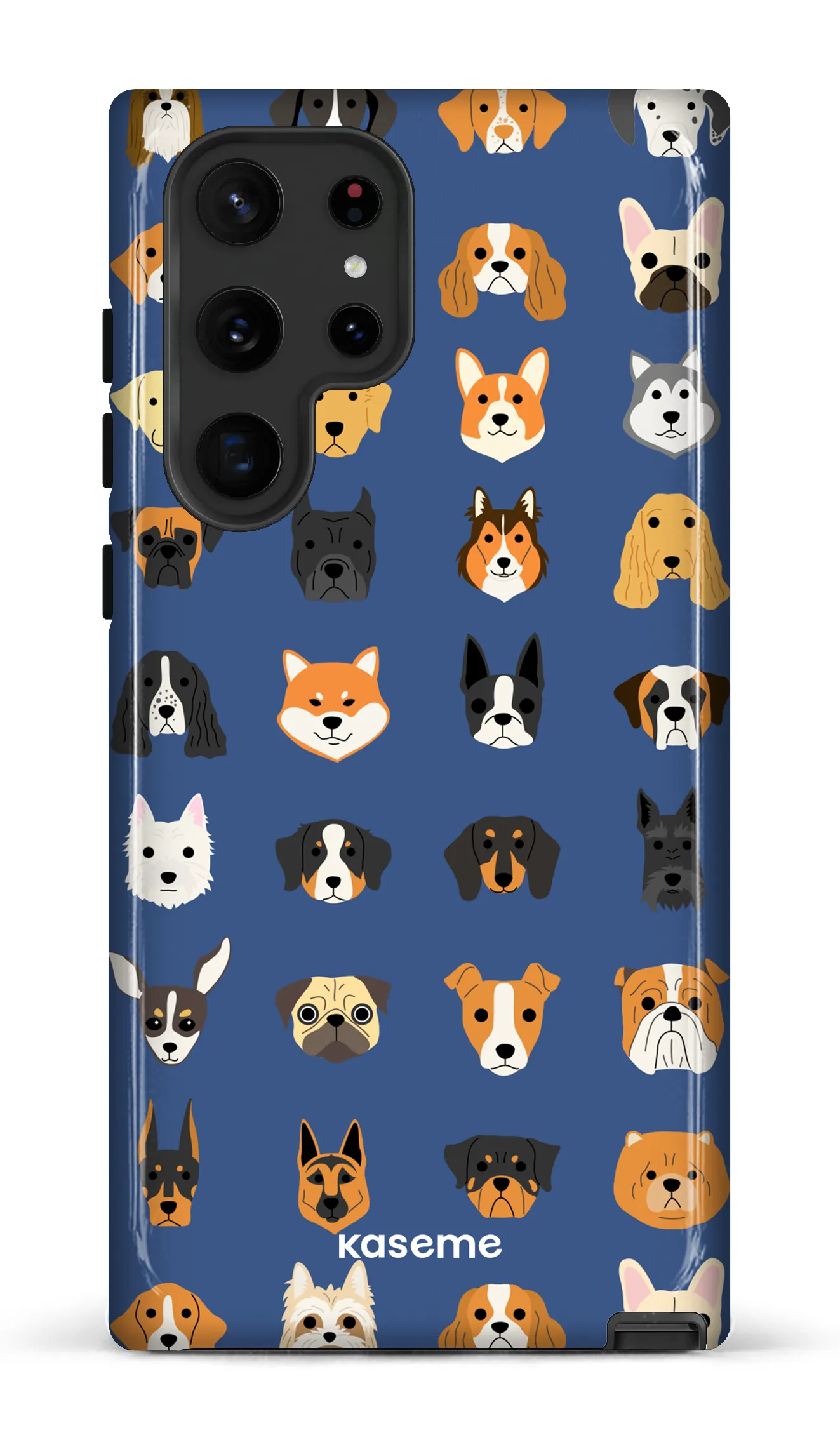 Pup blue