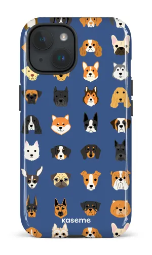Pup blue