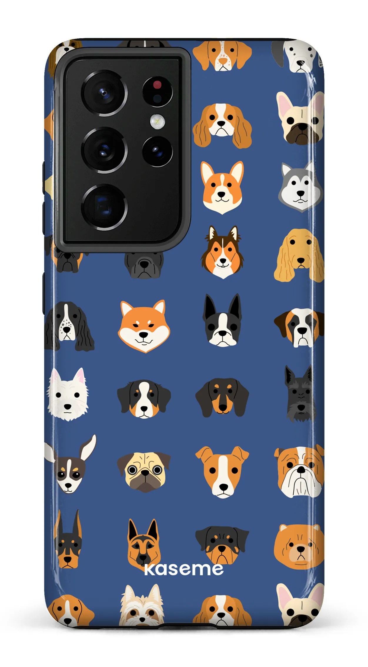 Pup blue
