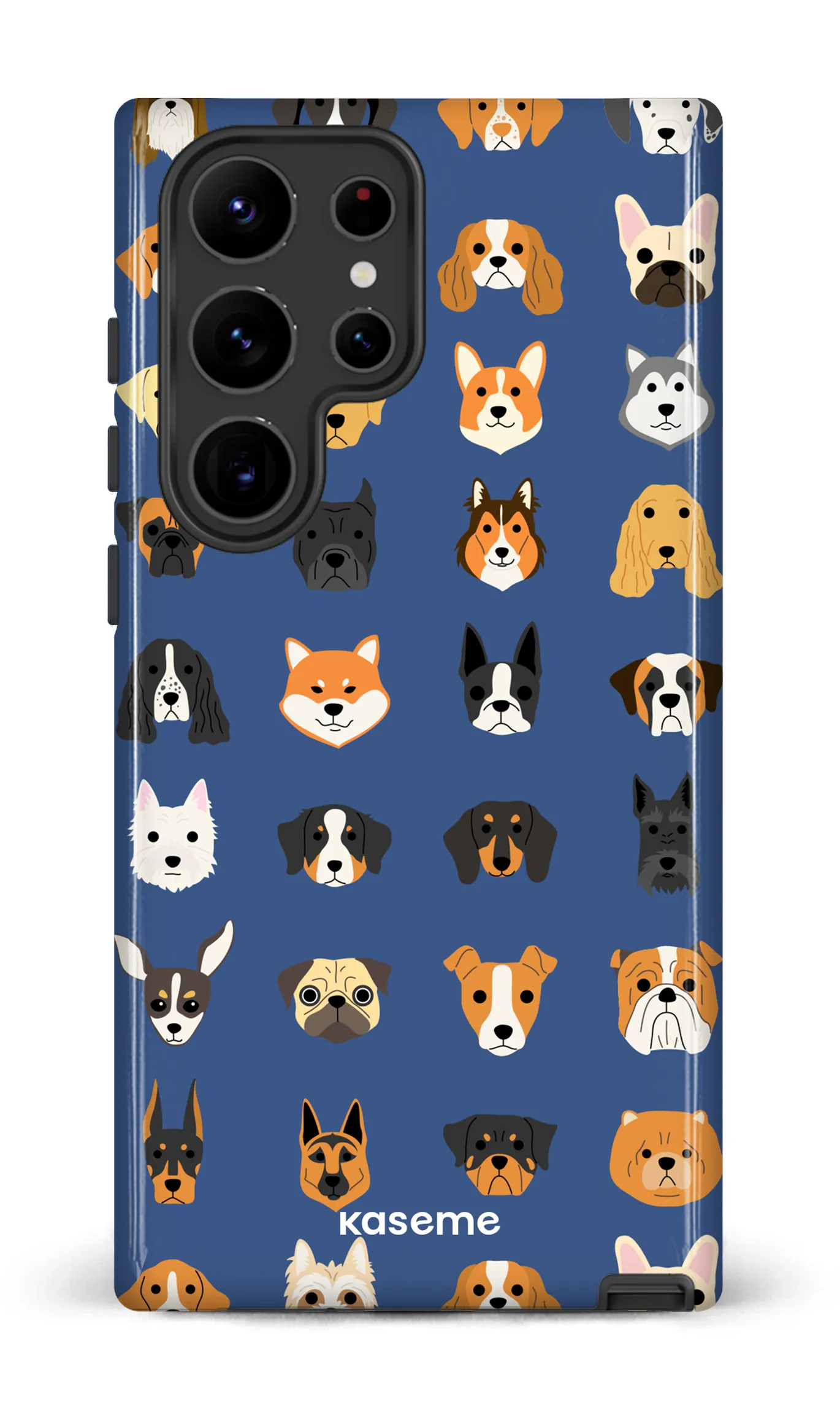 Pup blue