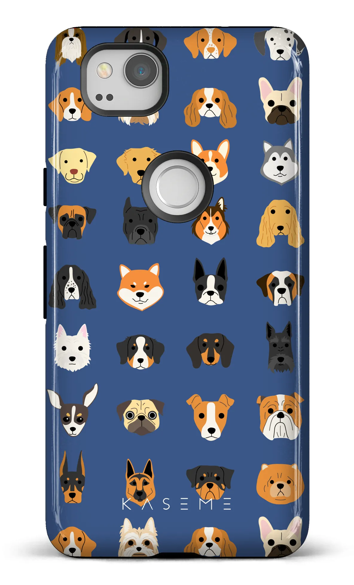Pup blue