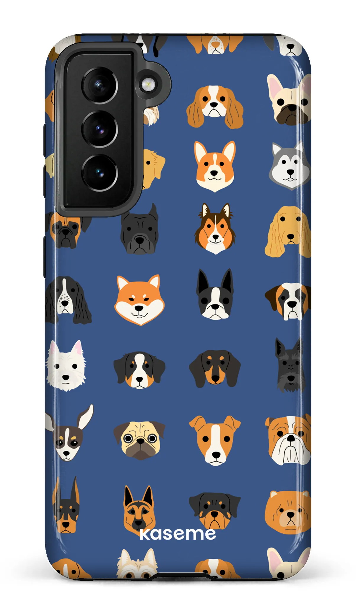Pup blue