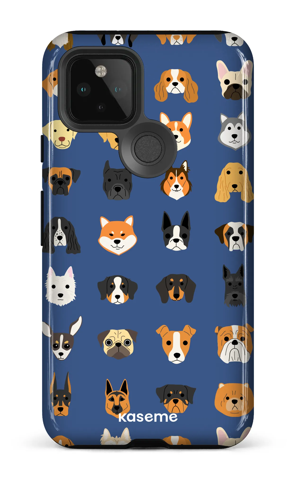 Pup blue