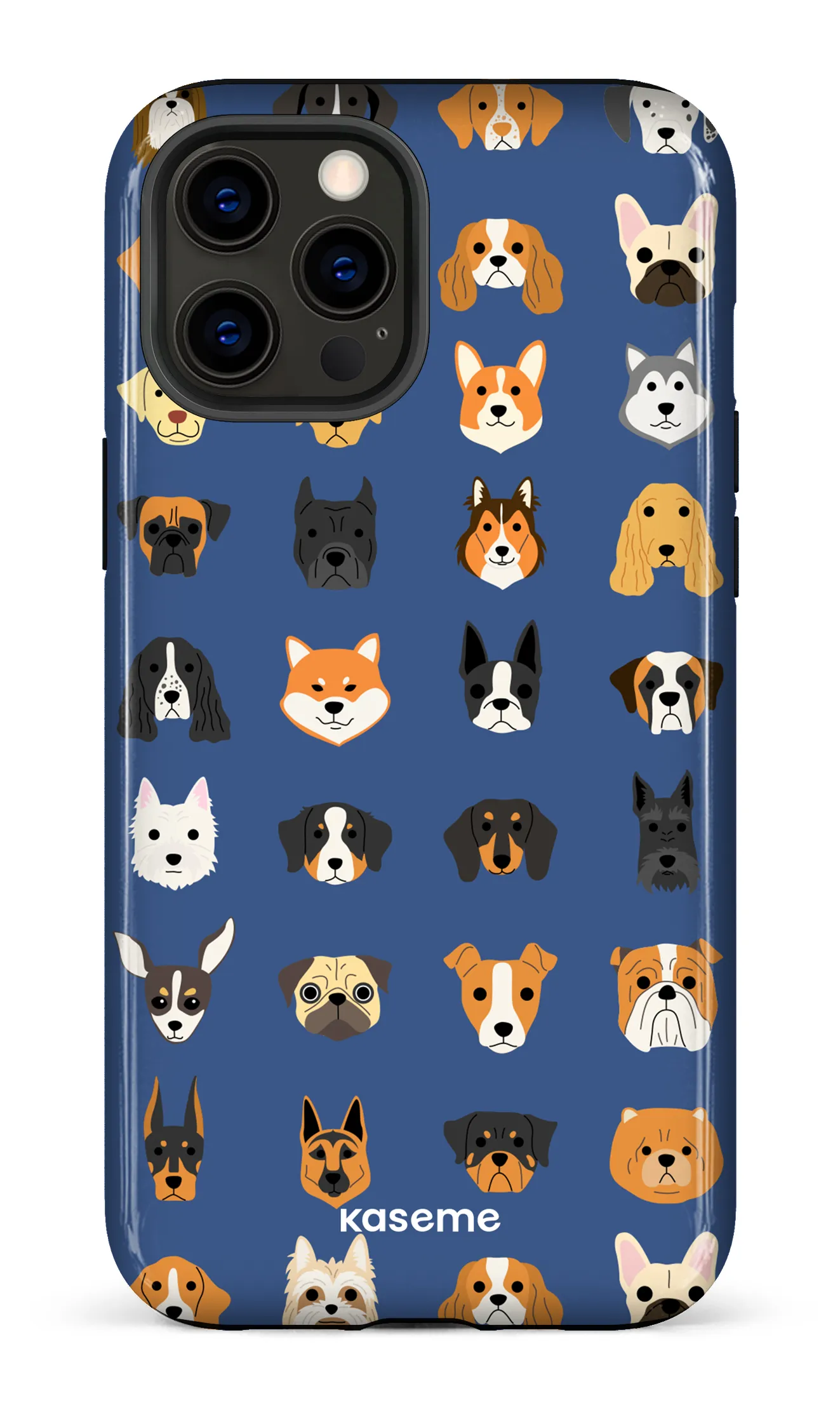 Pup blue
