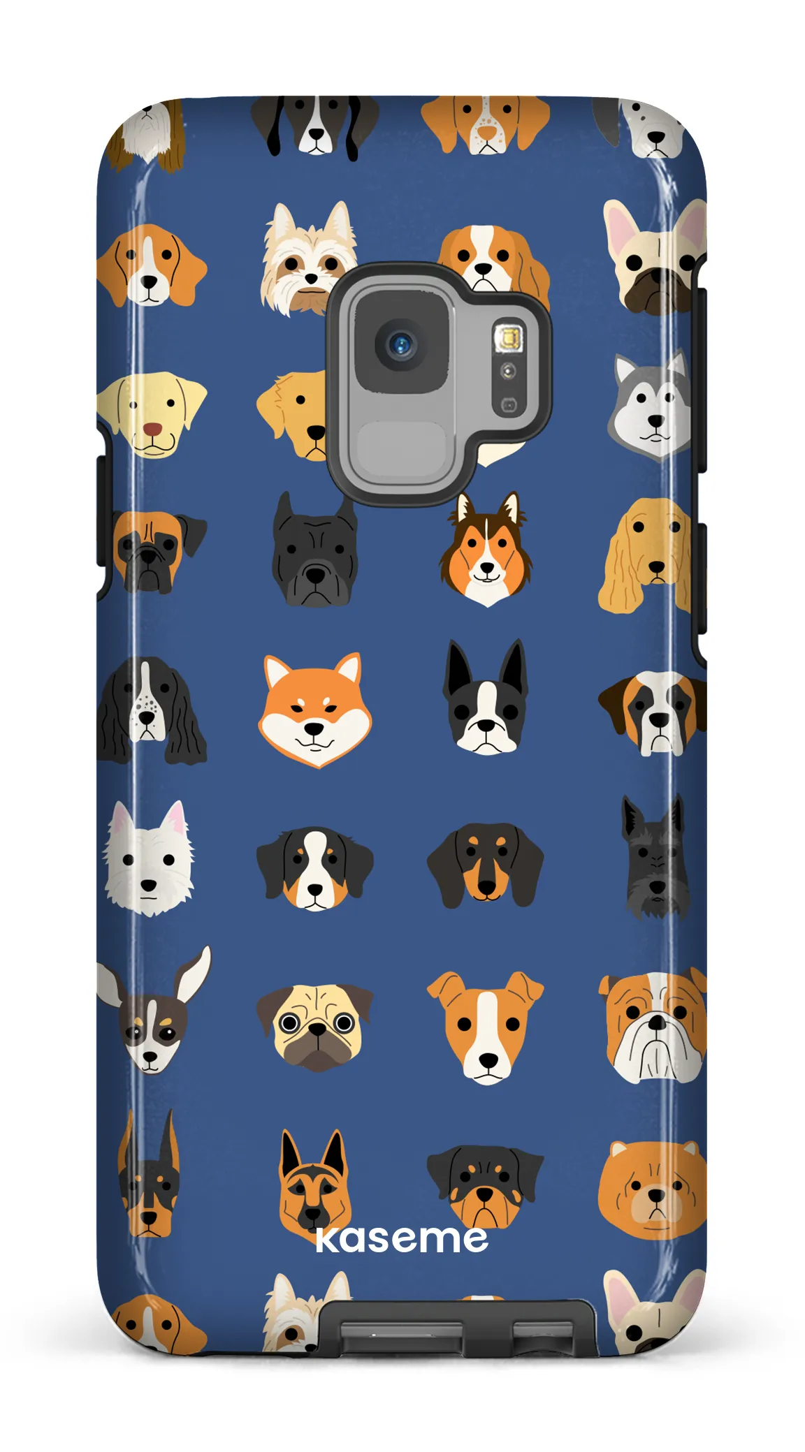 Pup blue