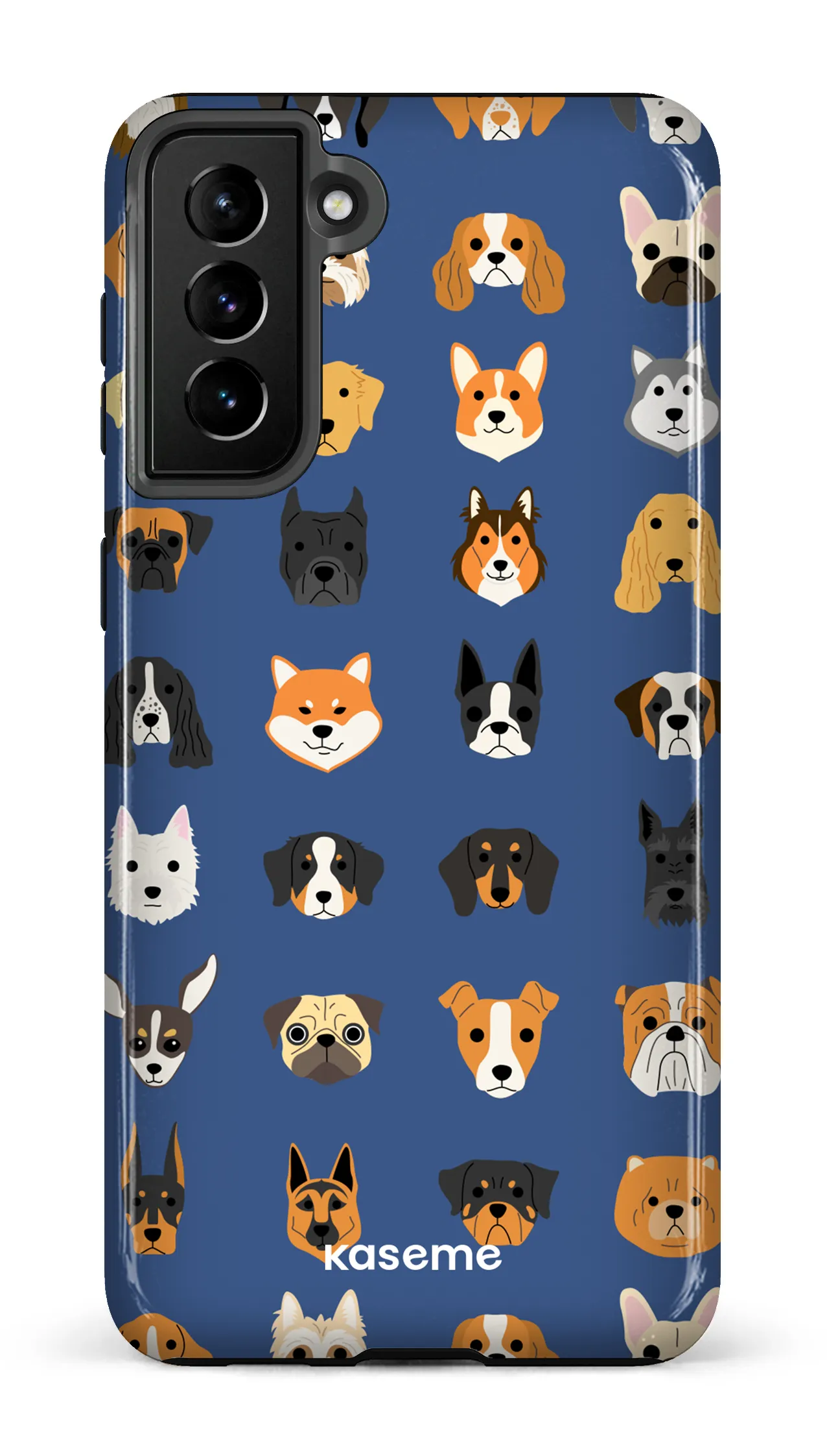Pup blue