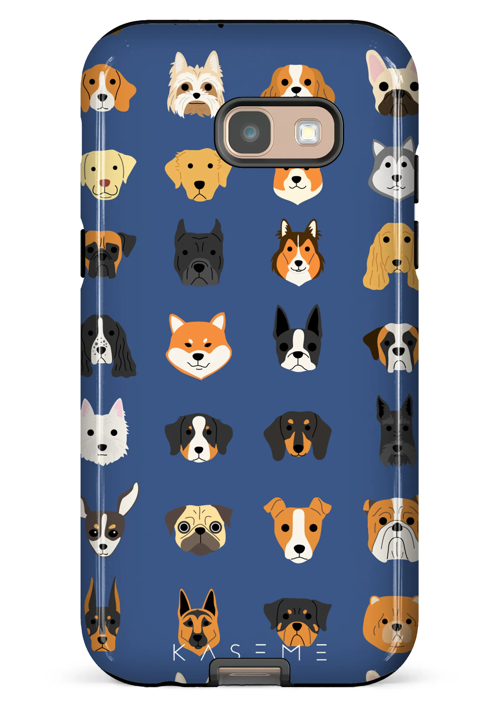 Pup blue