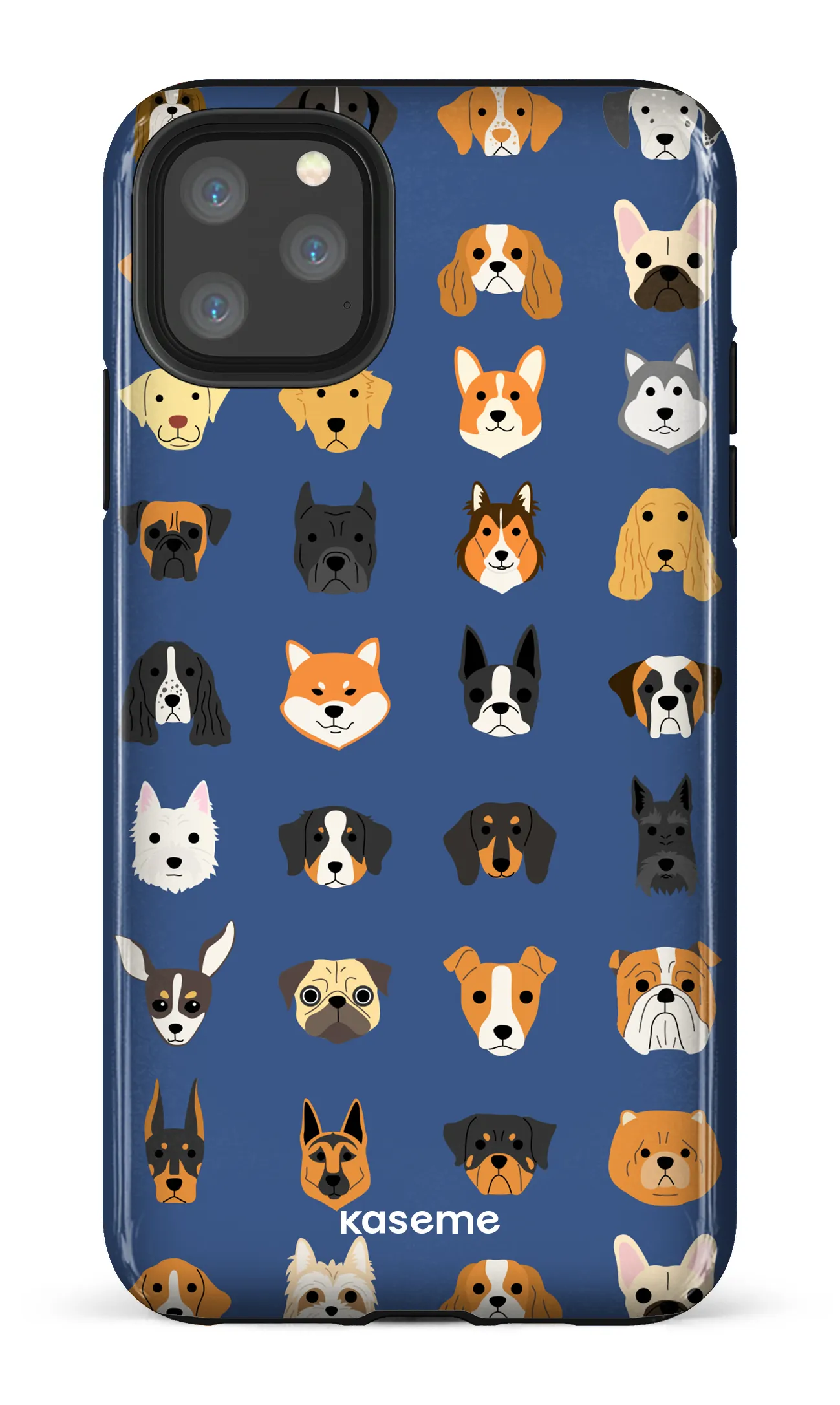 Pup blue