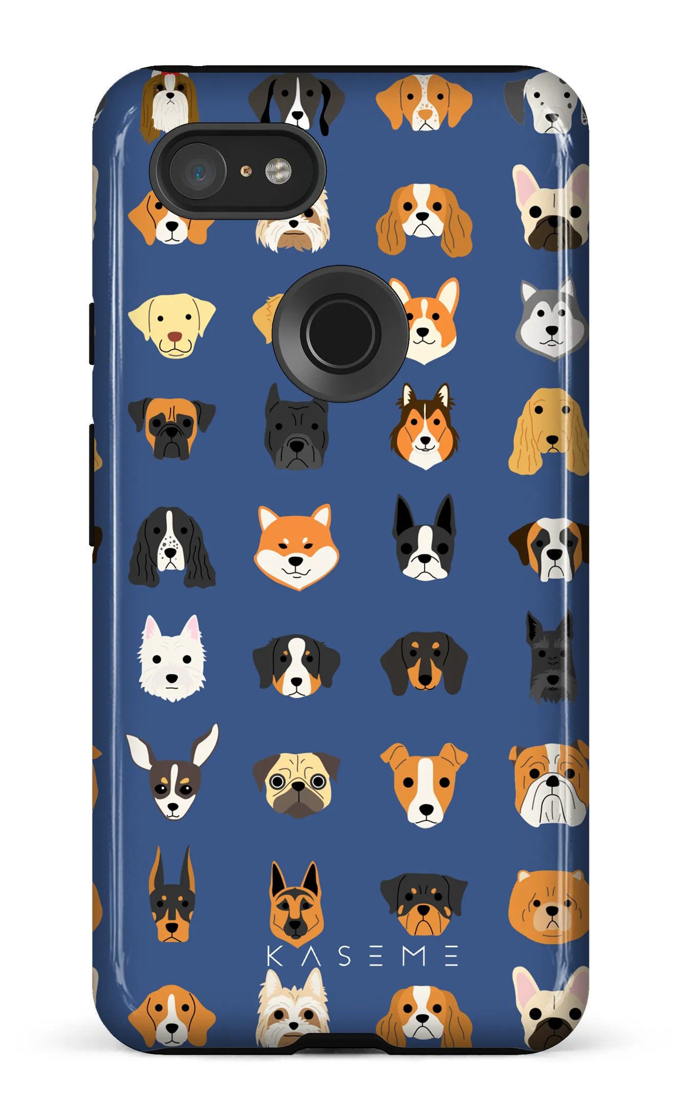 Pup blue