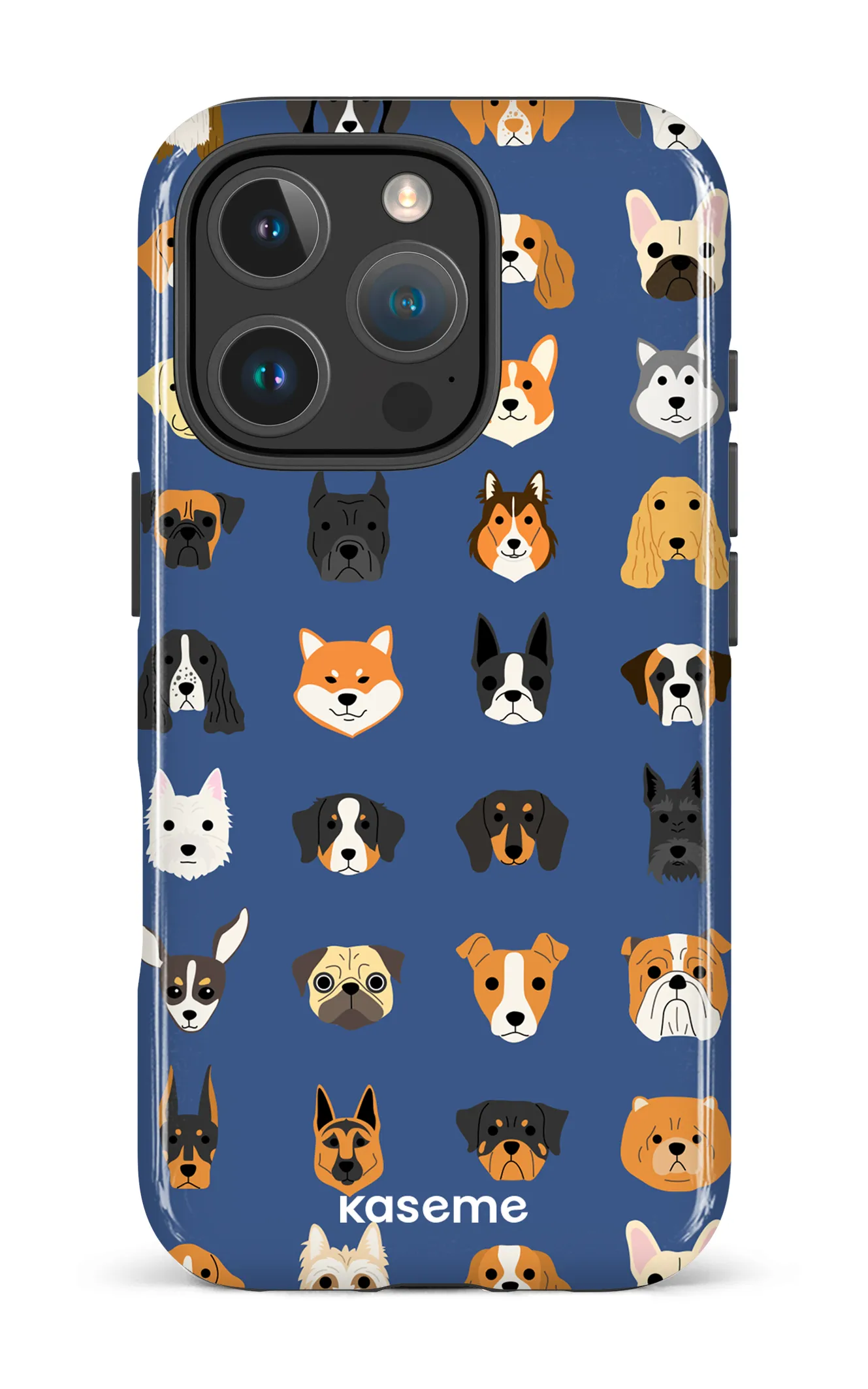 Pup blue