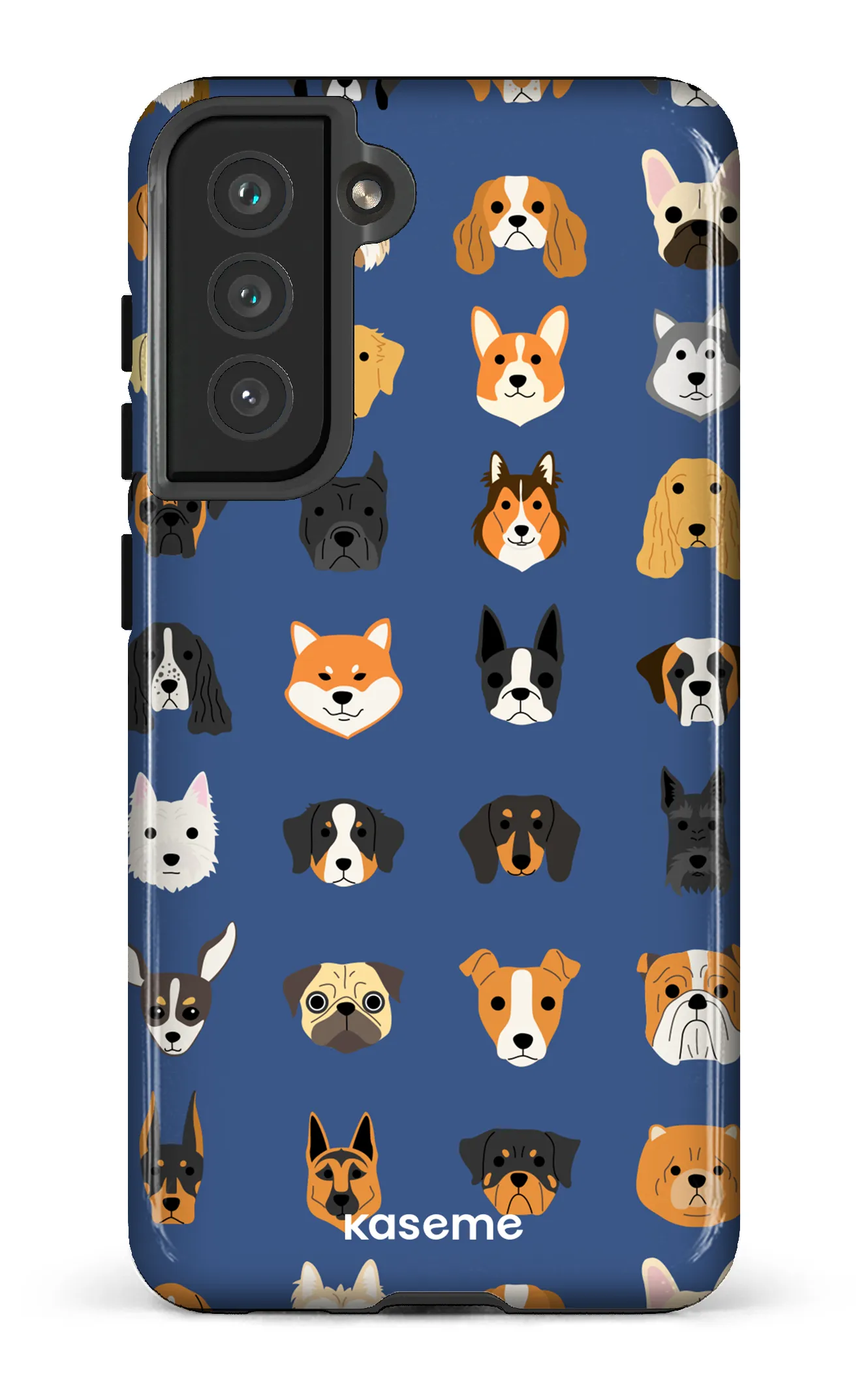 Pup blue