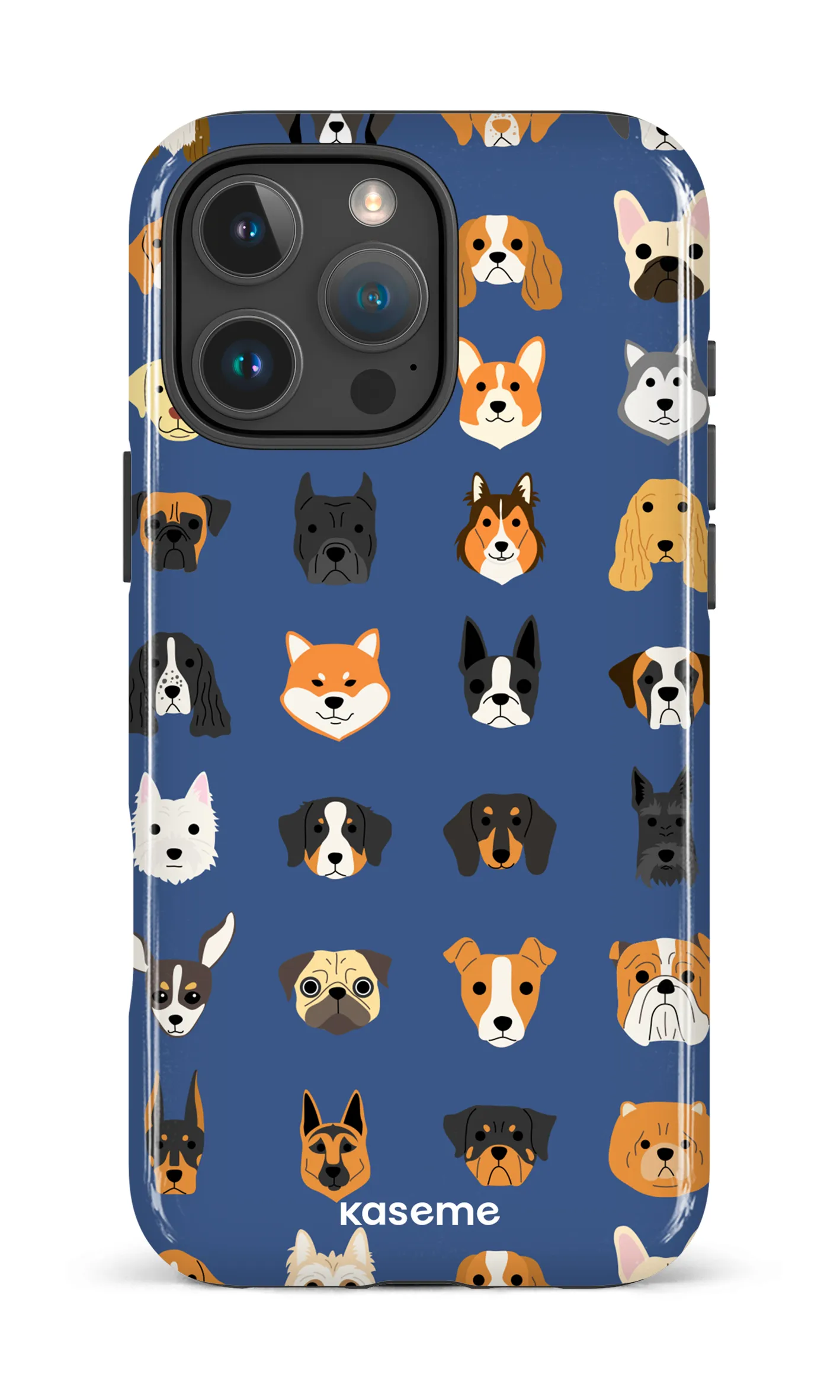 Pup blue