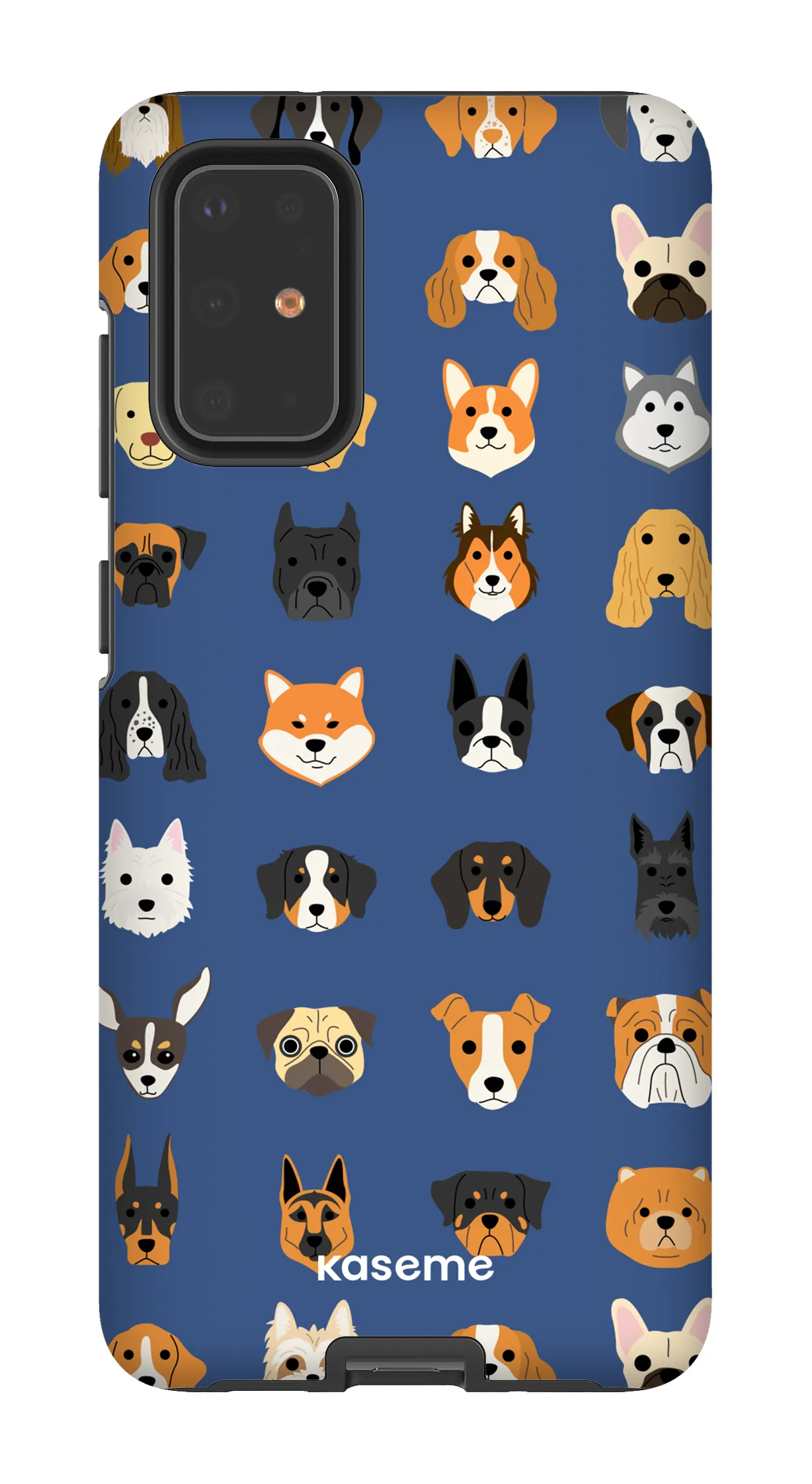 Pup blue