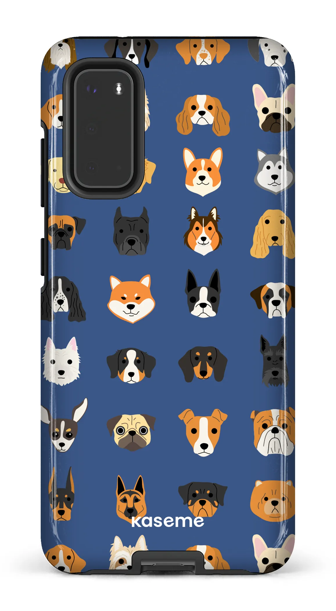 Pup blue