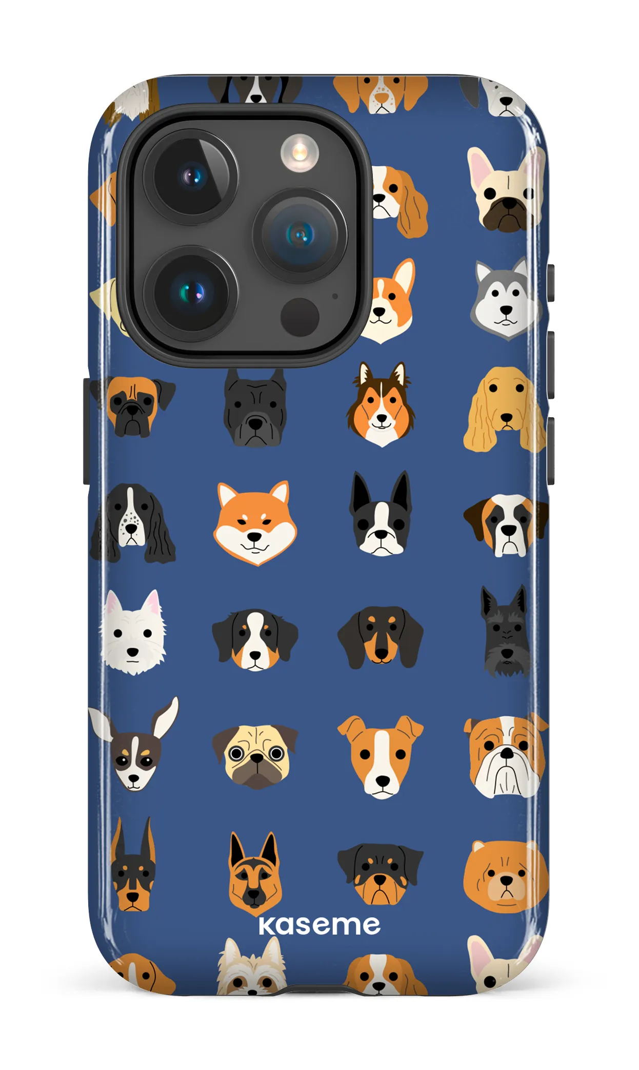 Pup blue