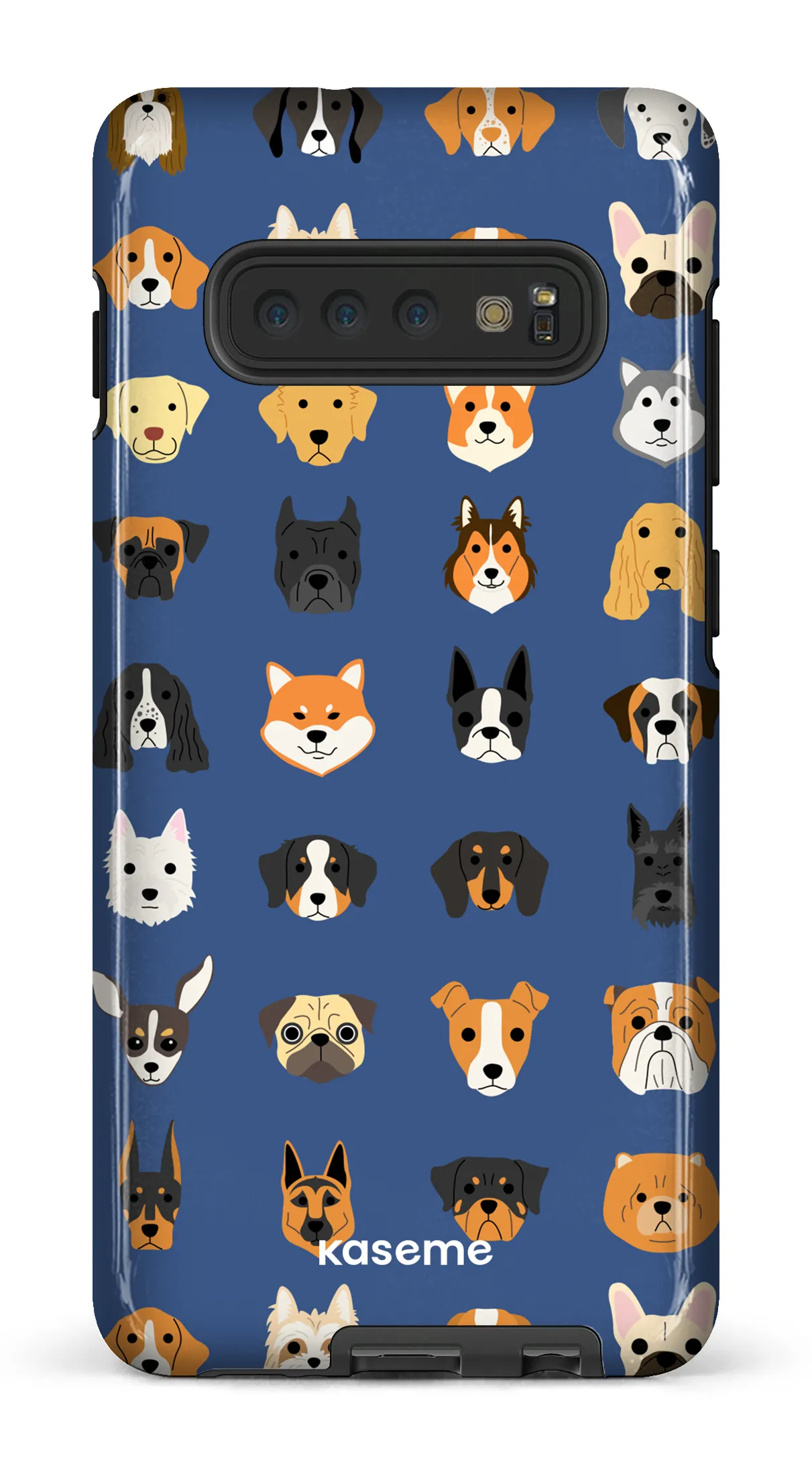 Pup blue