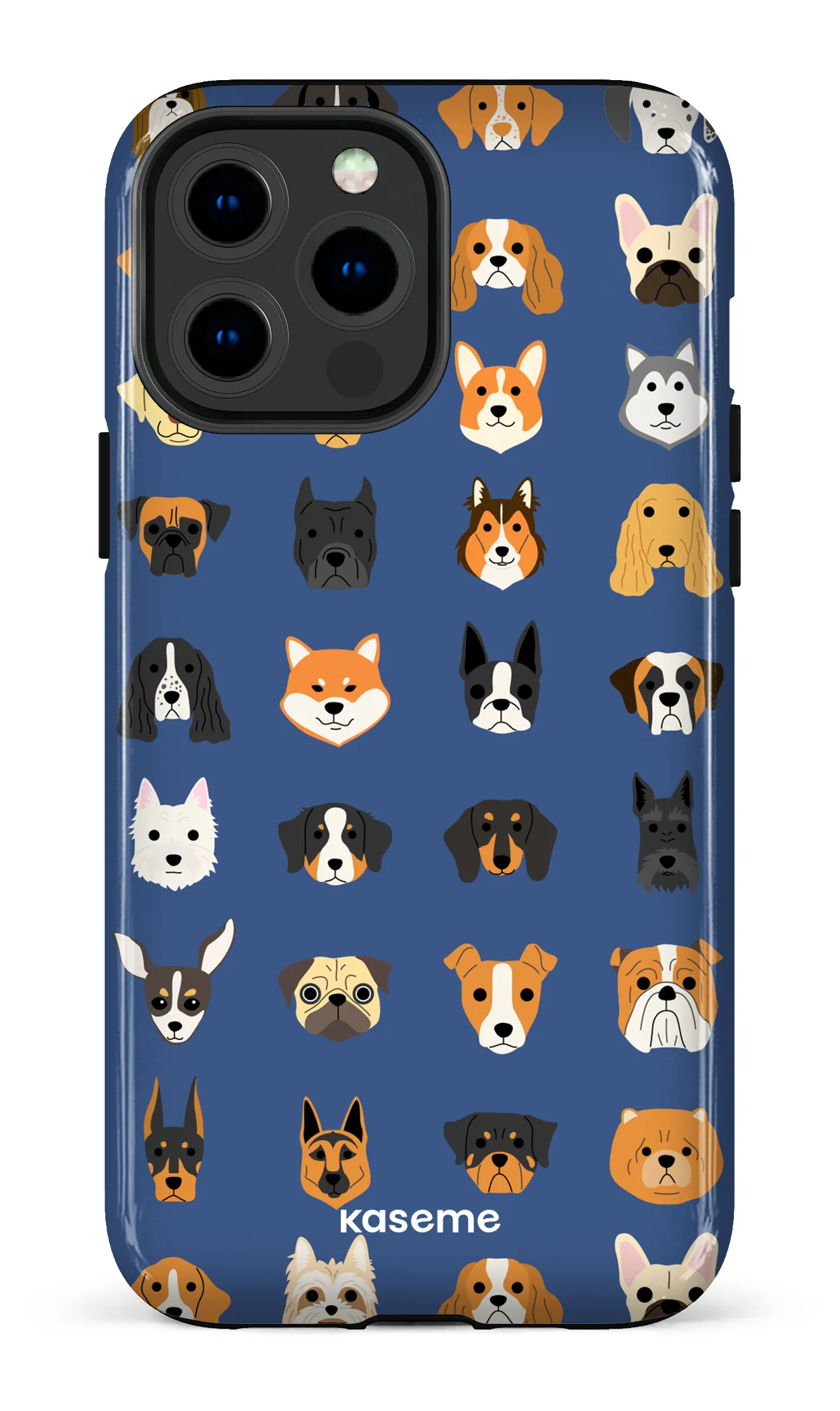 Pup blue