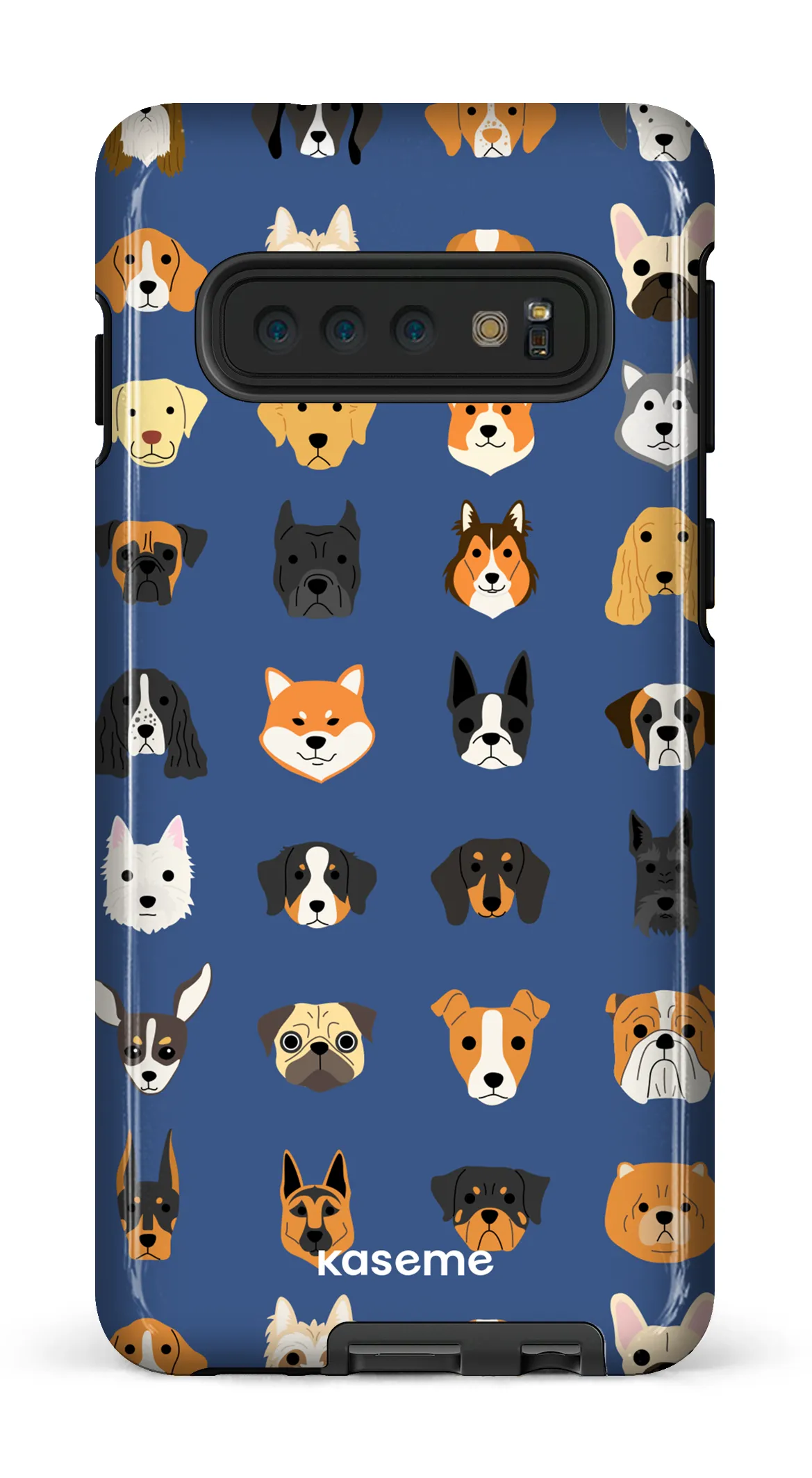 Pup blue