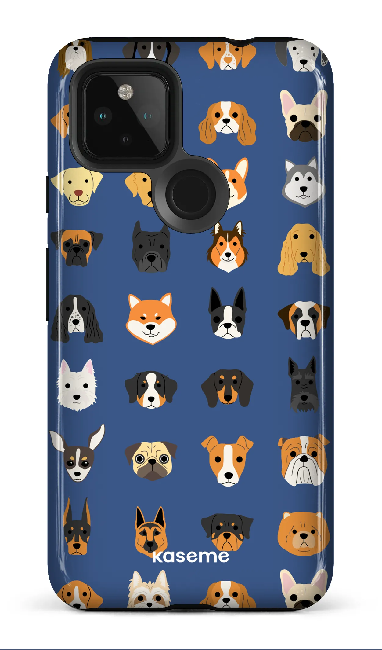 Pup blue