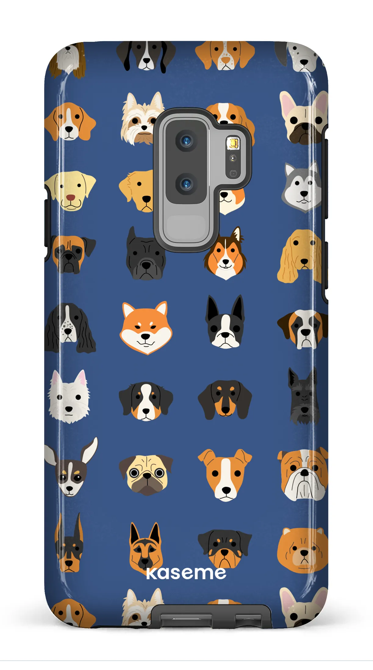 Pup blue