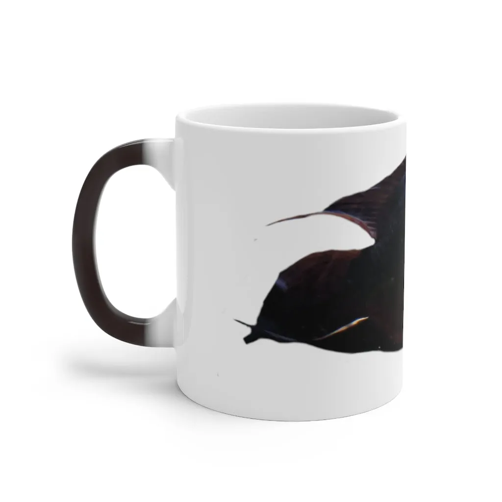 Red Black Fish Color Changing Mug