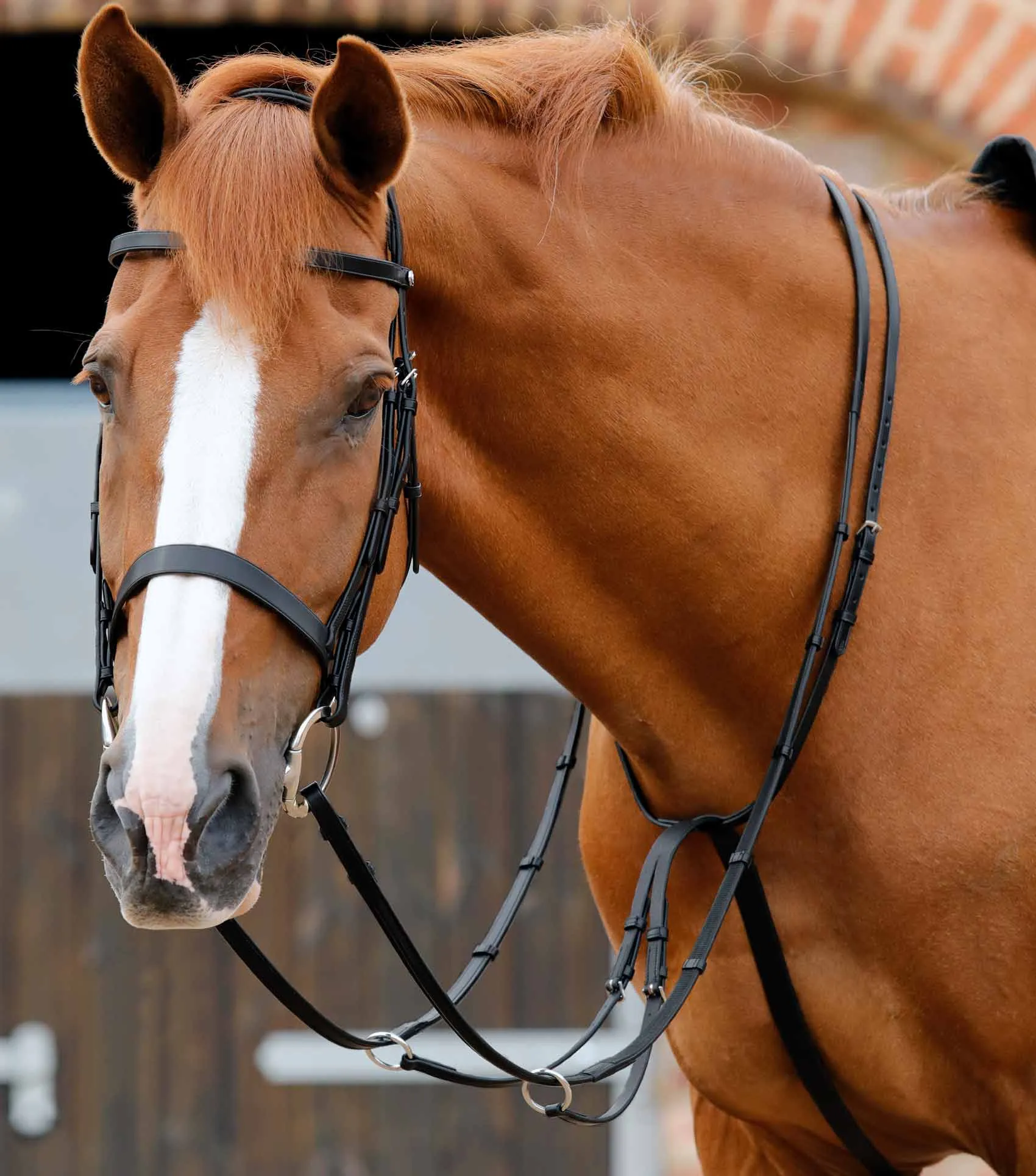 Santadi Adjustable Running Martingale Black