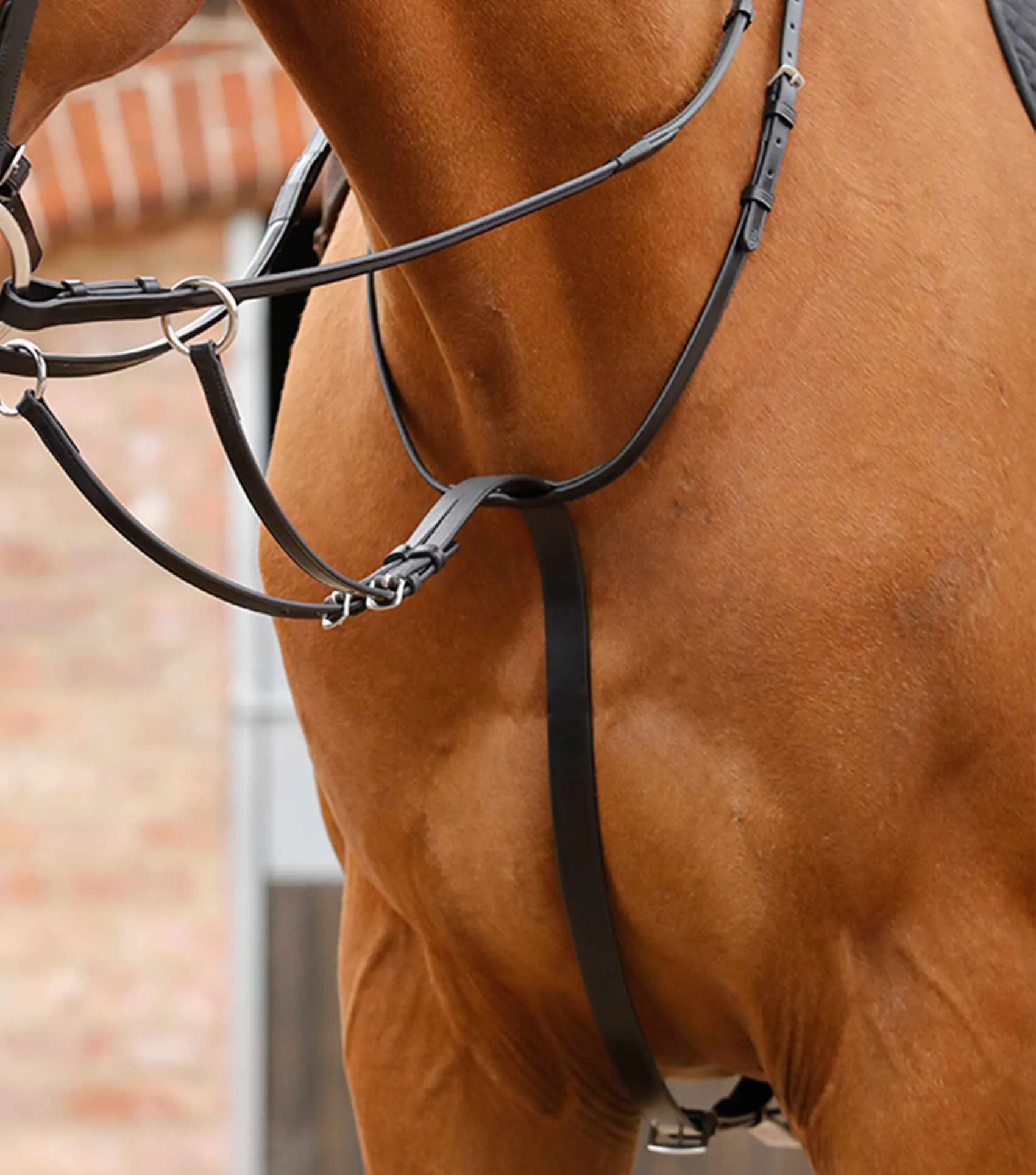 Santadi Adjustable Running Martingale Black