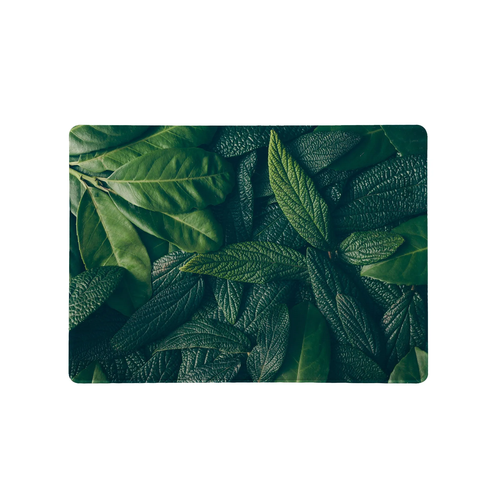 Surface Laptop Case - Leaves