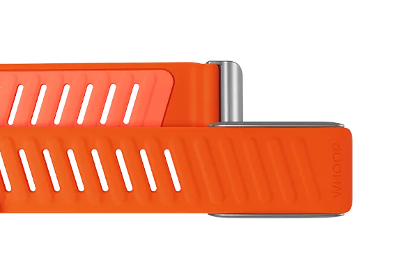 Surge SportFlex Band