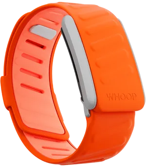 Surge SportFlex Band